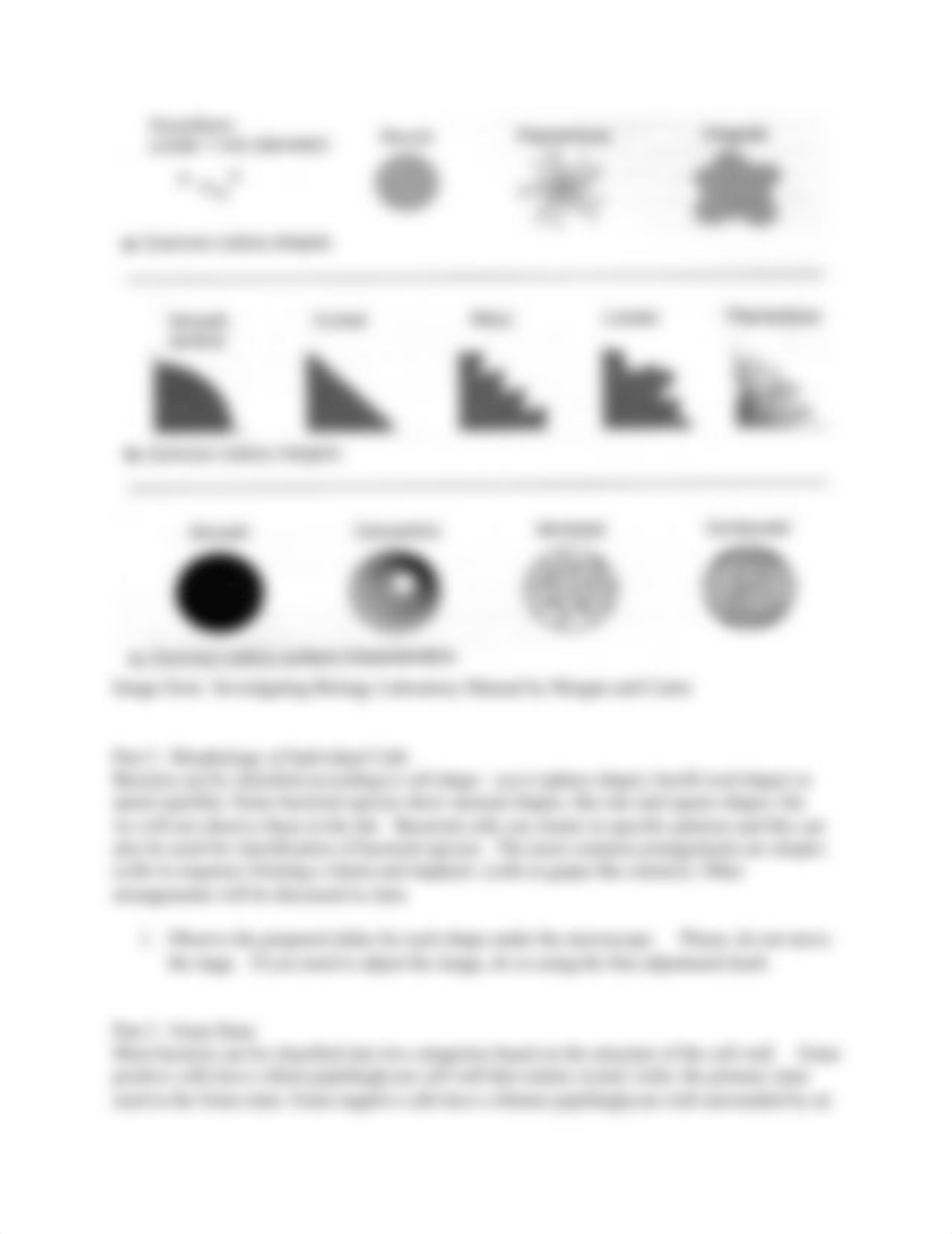 Bacteriology Handout Lab 4(1).docx_dalcdg1th8i_page2