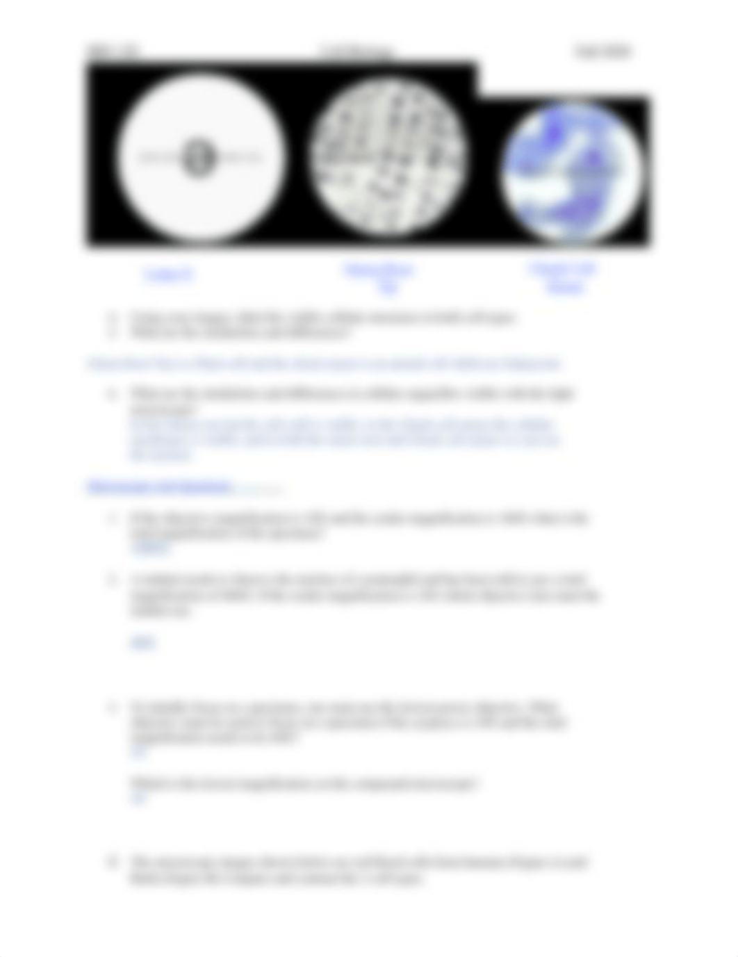 Cell Size and Microscopy-1-AG.docx_dalcuq2ftz0_page3