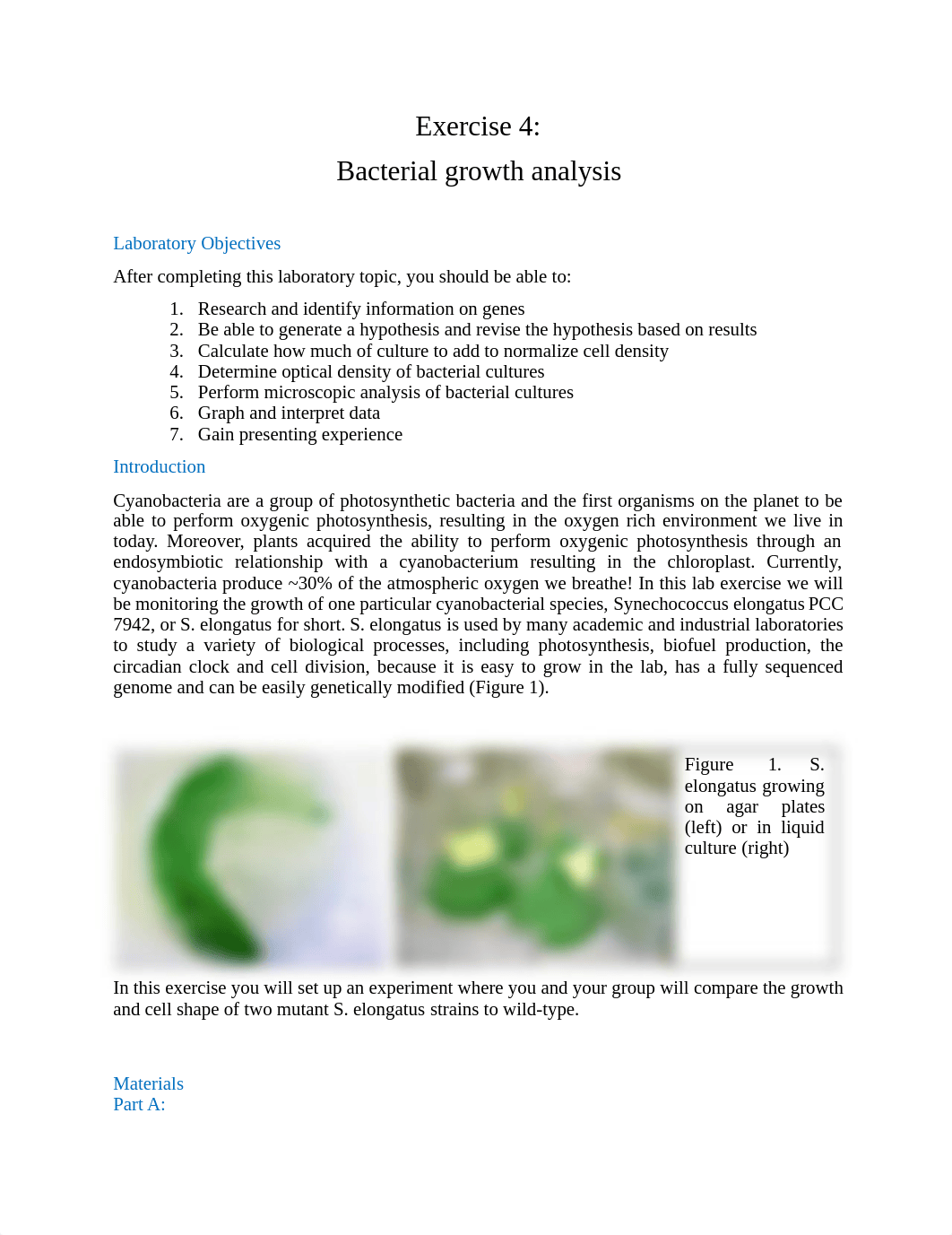 Bacterial Growth Analysis + worksheet_v2.pdf_dalsvfi8lwv_page1