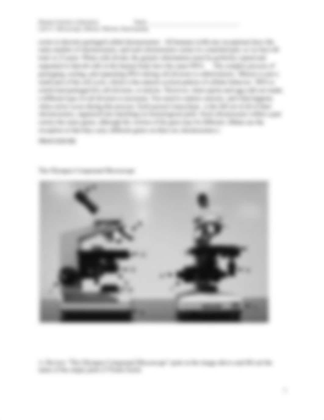 Lab# 1 Online Microscopy,Mitosis Meiosis Karyotyping.doc_dalt17qyacm_page2