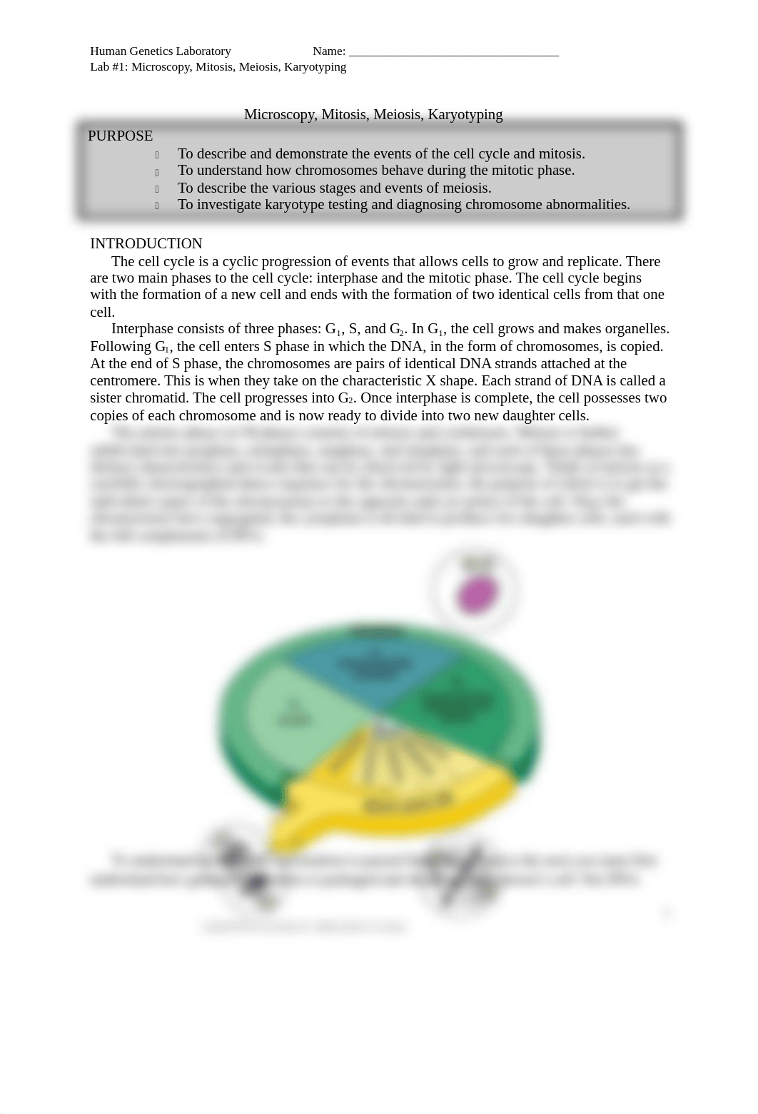 Lab# 1 Online Microscopy,Mitosis Meiosis Karyotyping.doc_dalt17qyacm_page1