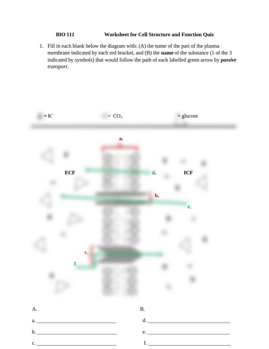 Worksheet for Cell Structure and Function Quiz.docx_dam3ejs9x6y_page1