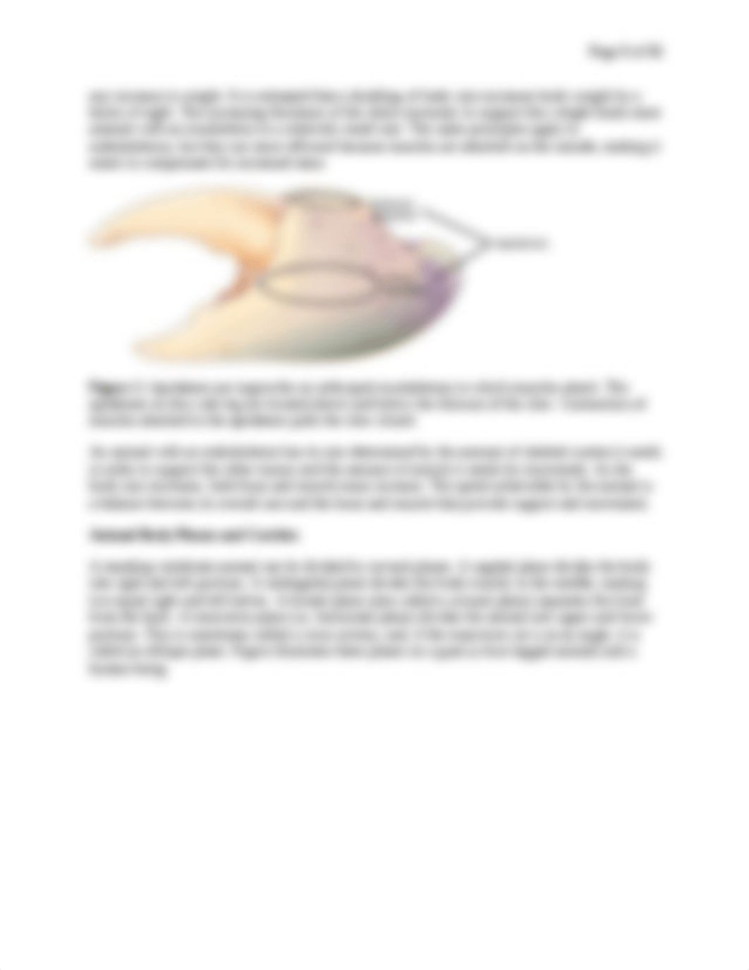 Animal Anatomy and Physiology.docx_dam596ux8ya_page3