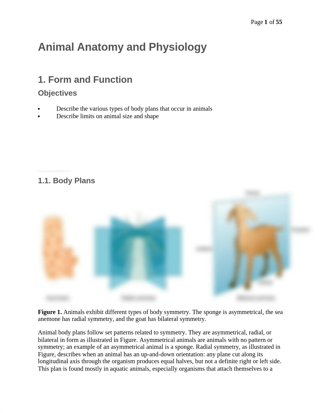 Animal Anatomy and Physiology.docx_dam596ux8ya_page1