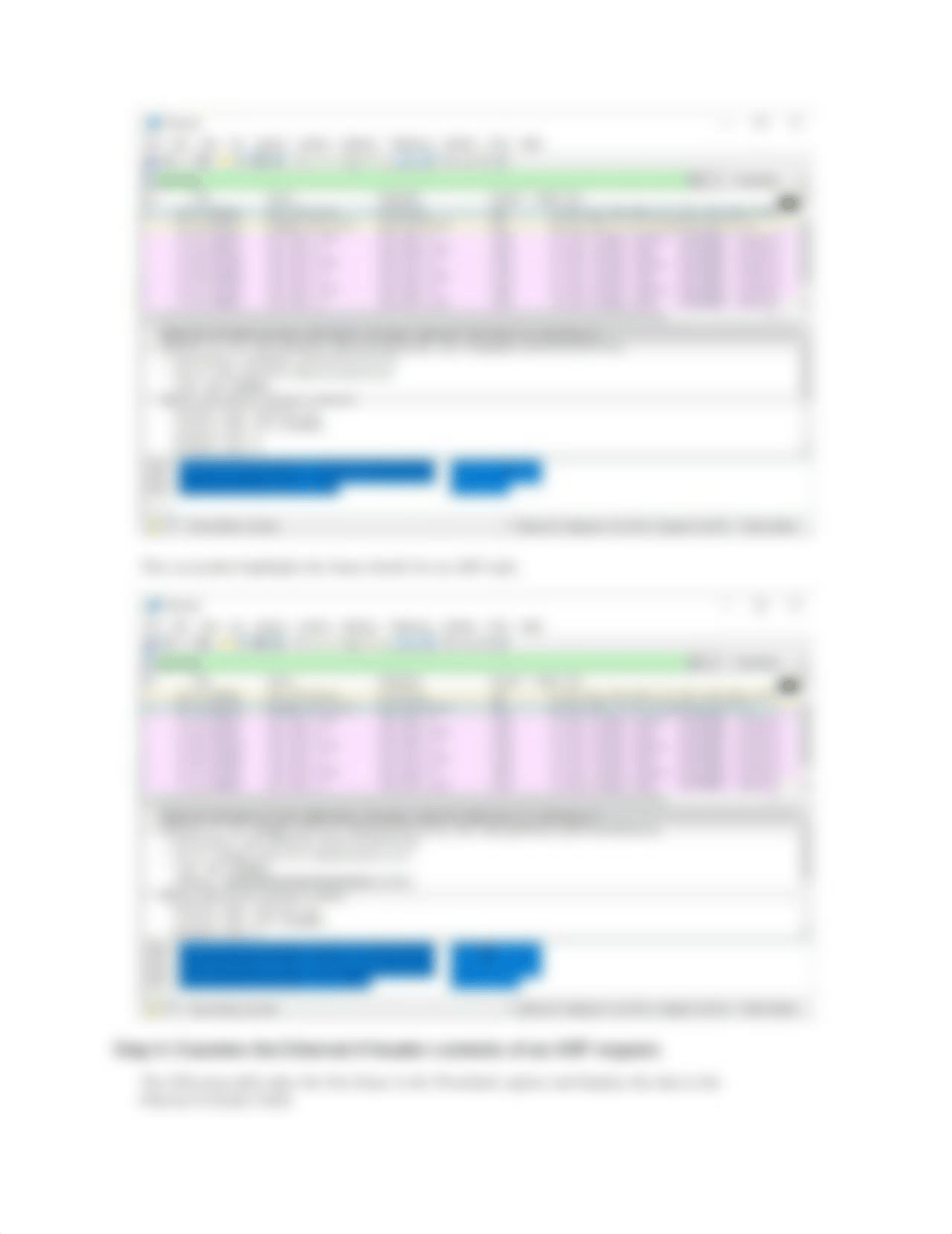 7.1.6 Lab Use WireShark to examine Ethernet Frames.docx_damix4n8uq3_page3