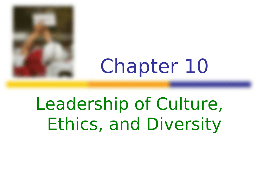 _Leadership of Culture, Ethics and Diversity_damlsejz7to_page1