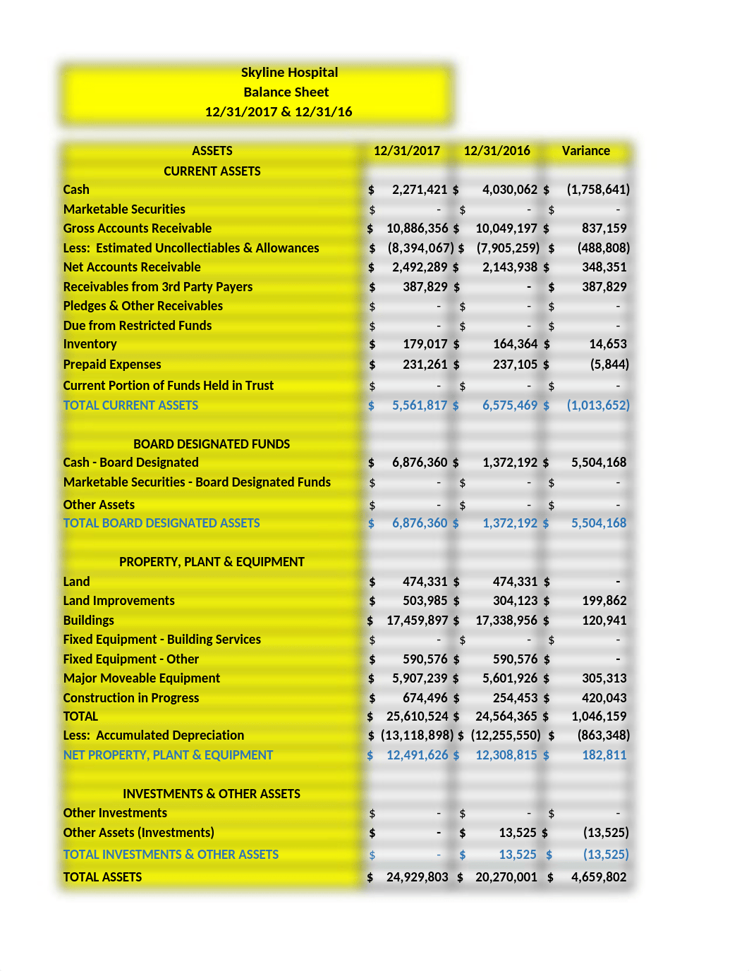 Skyline Hospital Financial Statement Form (1).xlsx_damnp5b843h_page1