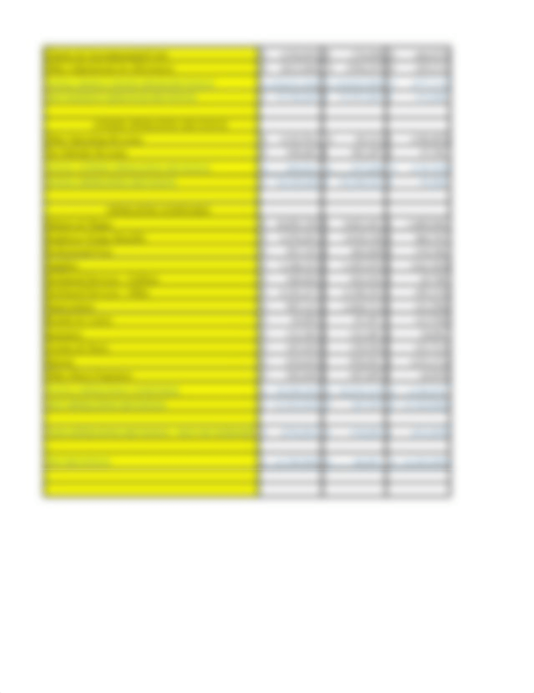 Skyline Hospital Financial Statement Form (1).xlsx_damnp5b843h_page3