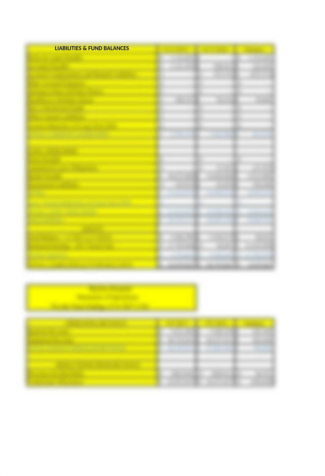 Skyline Hospital Financial Statement Form (1).xlsx_damnp5b843h_page2