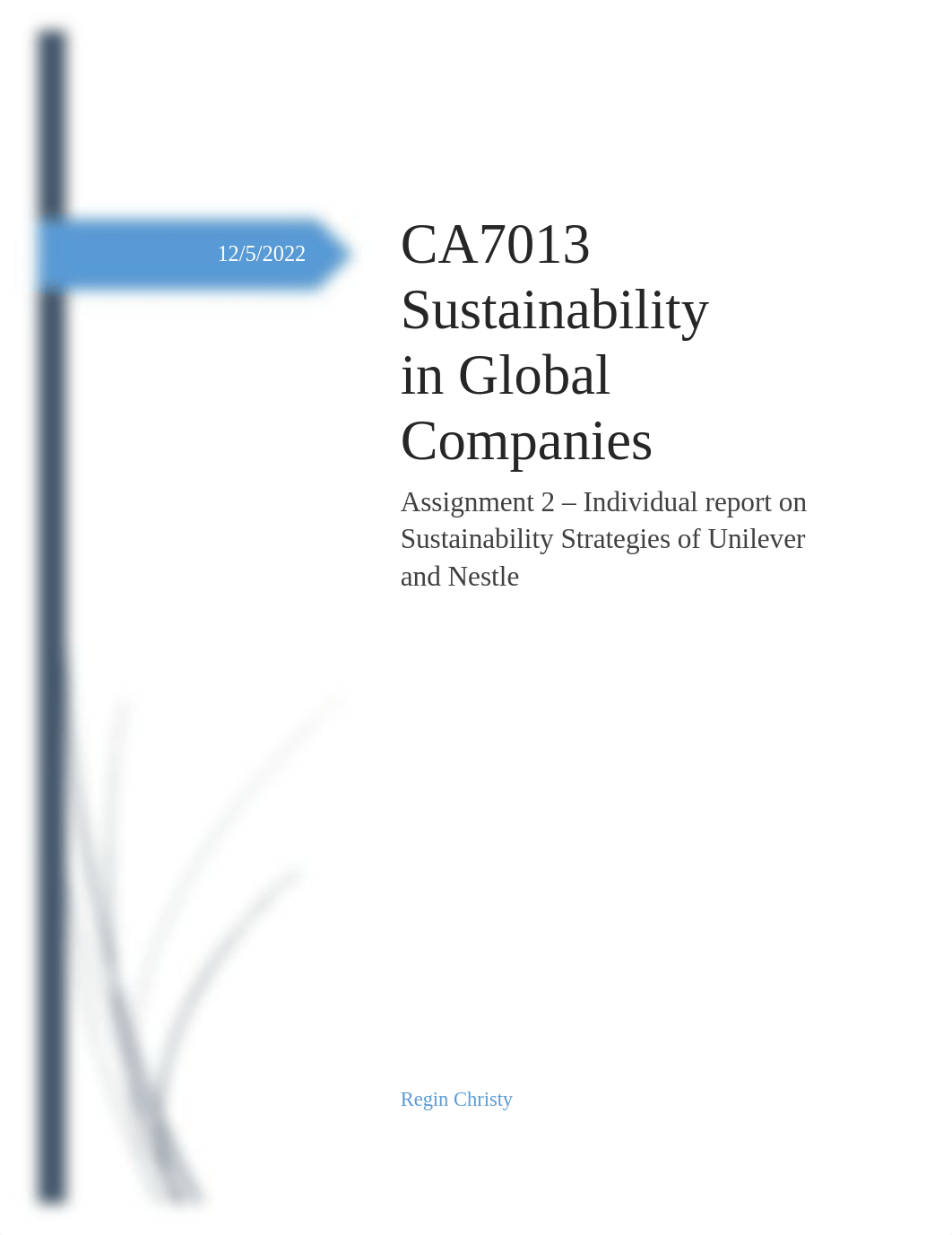 Regin Christy CA7013 Sustainability in global companies.edited.docx_damycdacxd9_page1