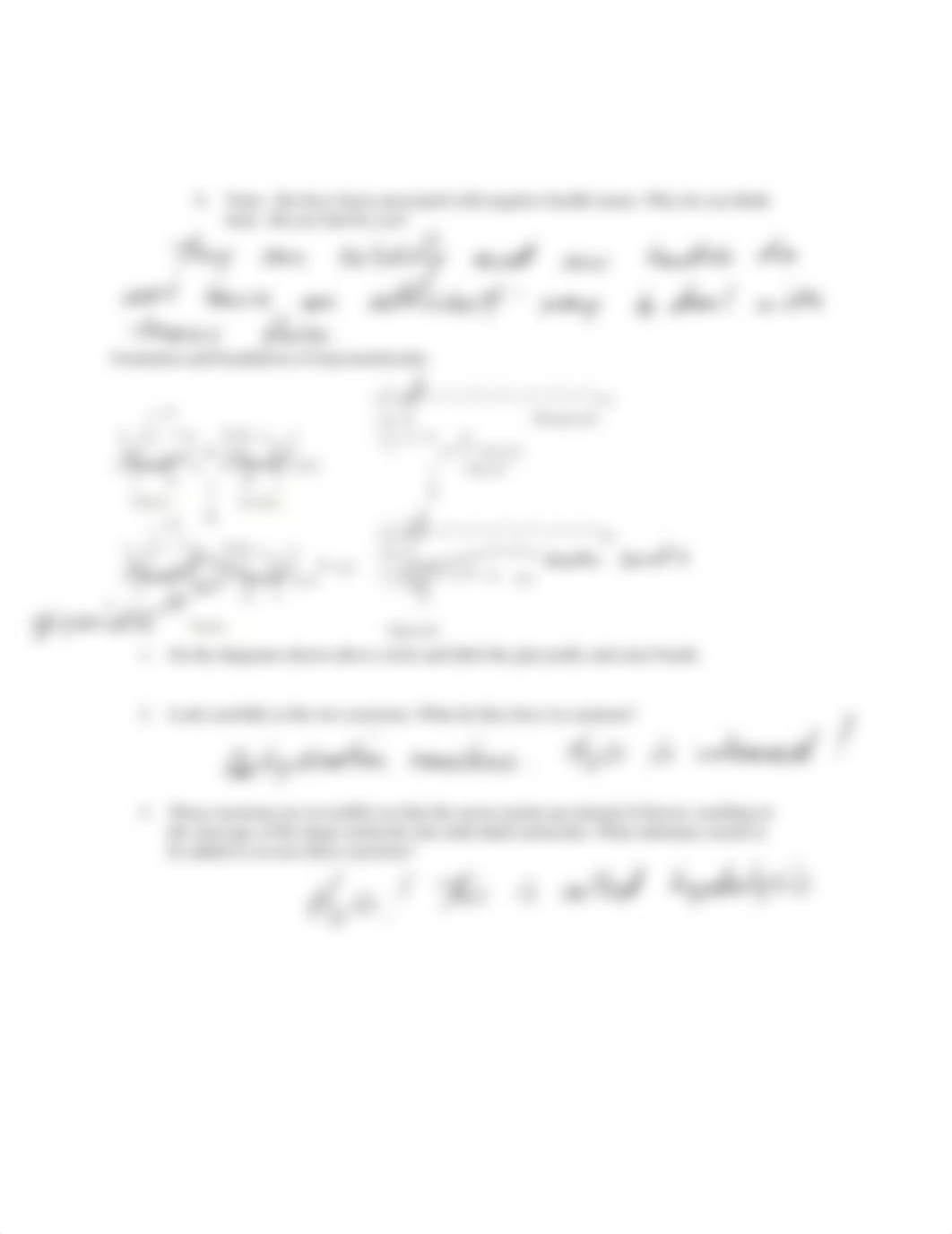 2020_Bio43_worksheet_02 key copy.pdf_dan2t565etm_page3