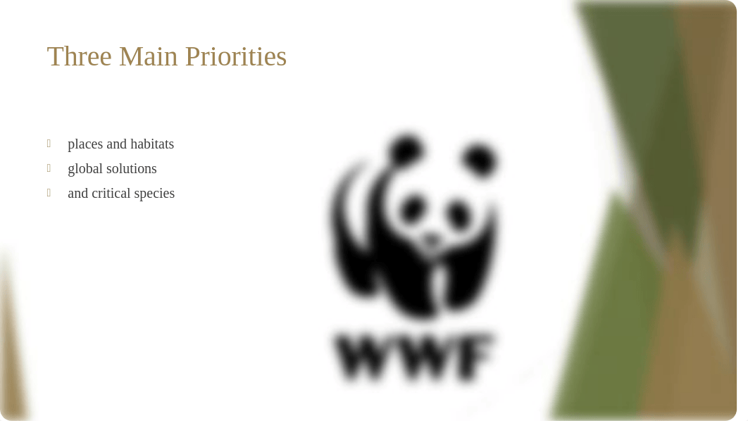 World Wide Fund (WWF)PPT_dan3l0xja3z_page2