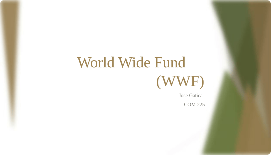 World Wide Fund (WWF)PPT_dan3l0xja3z_page1