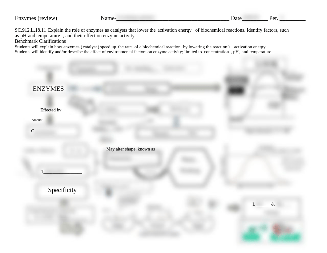 Enzymes Review Concept Map.pdf_dan3xgo4bht_page1