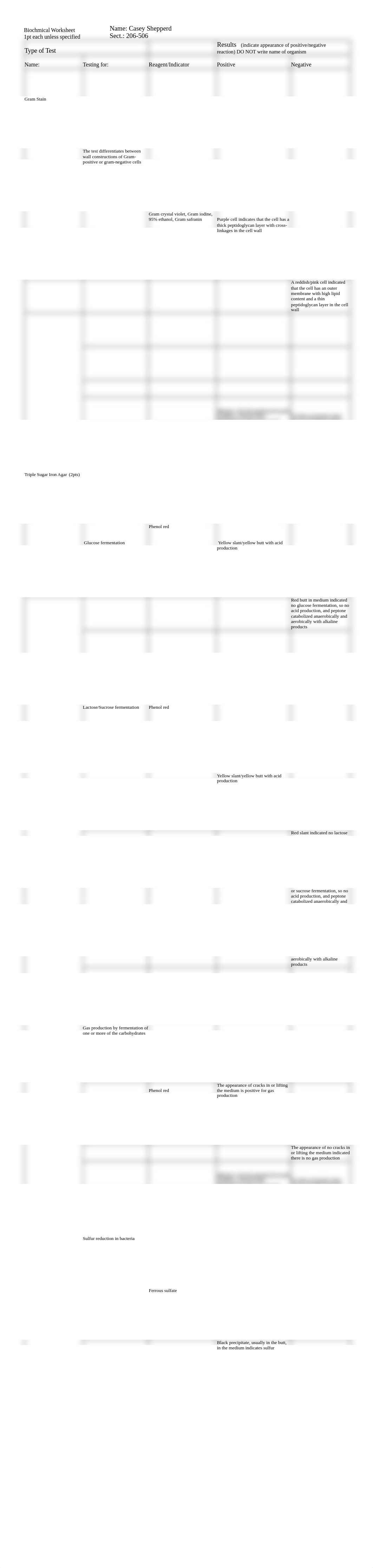 Biochemical Worksheet_dan4f2ntbnt_page1