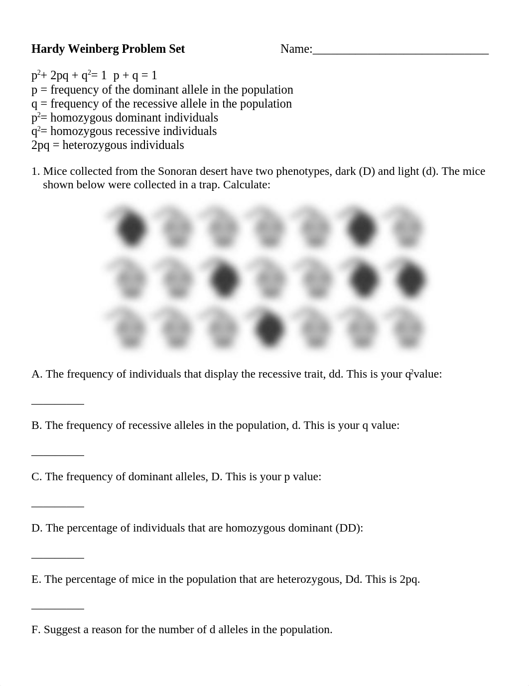 Bogler-Hardy-Weinberg Problem Set 2-Spring-2020.docx_dan4gv8awpv_page1