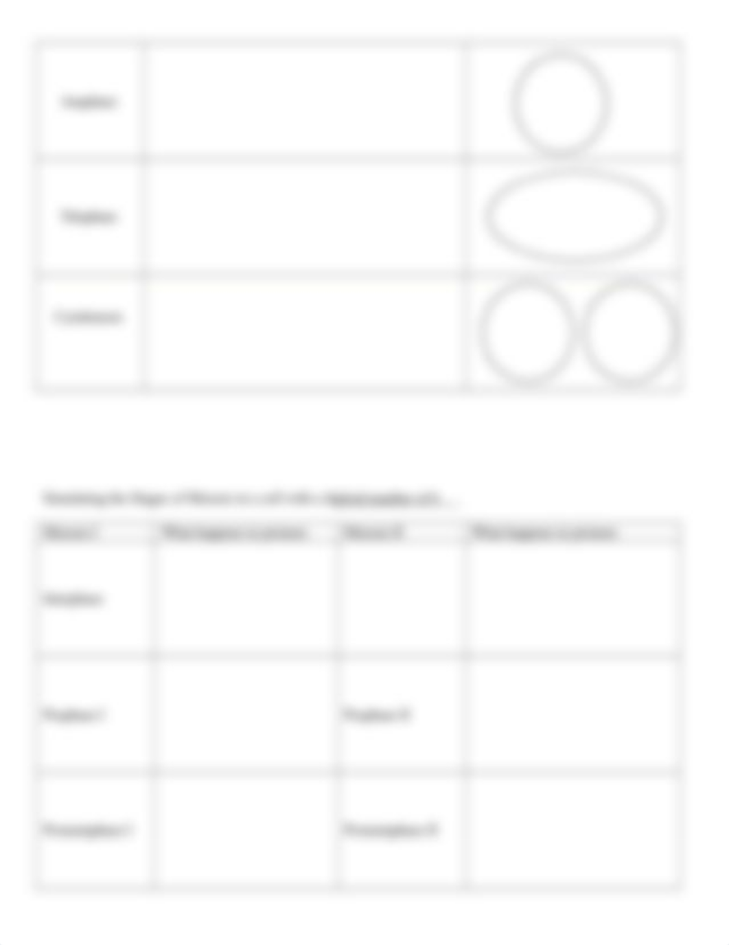 Stages of Mitosis.docx_danaiujzue2_page2