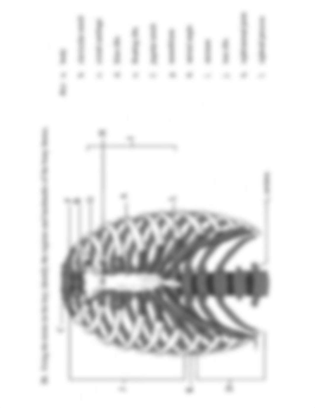 Skeletal system diagrams - labelled.pdf_danat01zw9a_page5