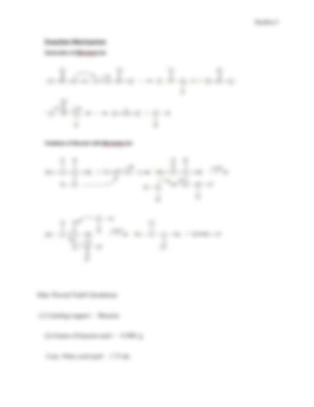 Aleyda Sarabia Nitric Acid Oxidation.docx_danbbrykp4s_page4