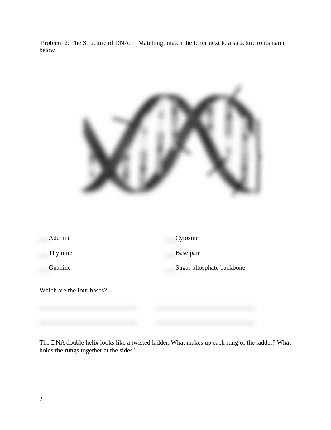 Lab 2.docx_danchuzjcdh_page2