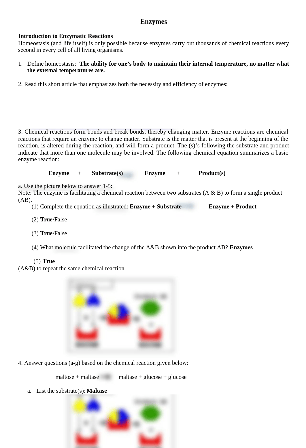 Enzymes.docx_dane8z5i6wv_page1