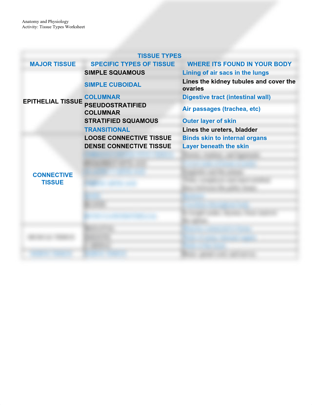 worksheet - tissues chart.doc.pdf_danjga3v6q2_page1