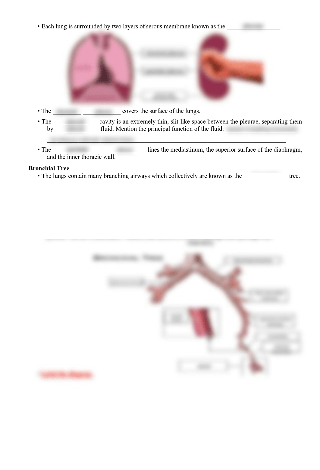 Respiratory System Module_danl7gpu16v_page2