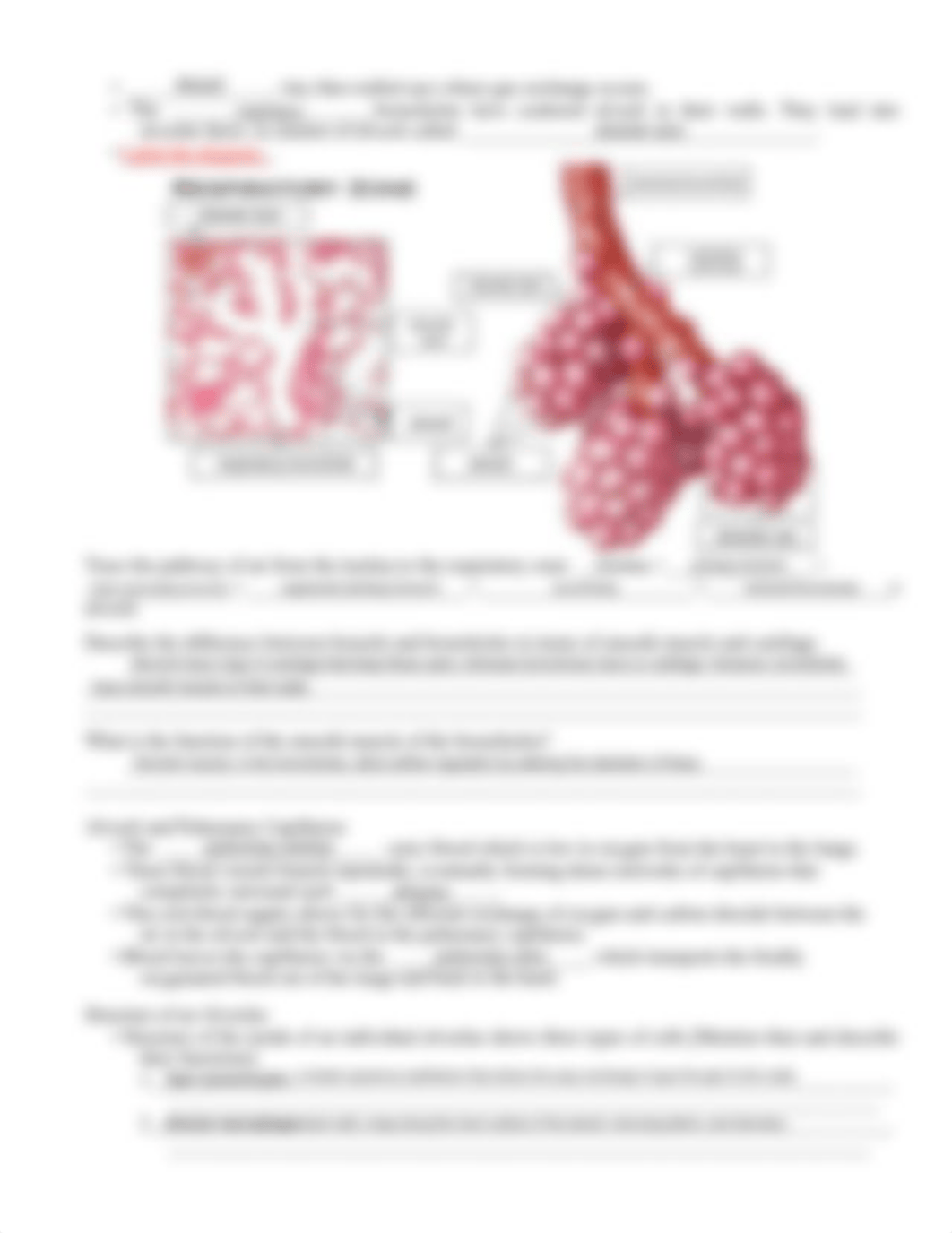 Respiratory System Module_danl7gpu16v_page3