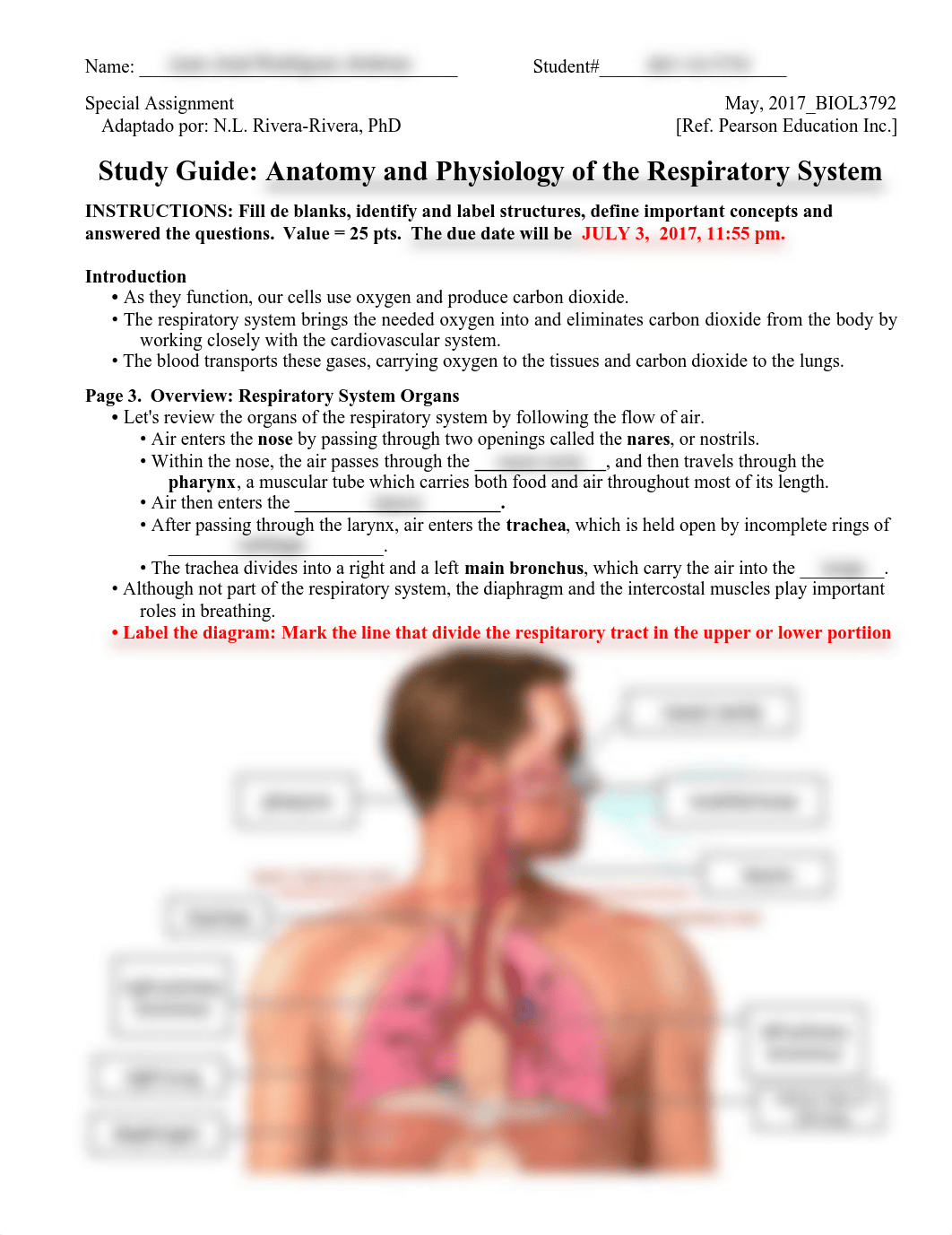 Respiratory System Module_danl7gpu16v_page1