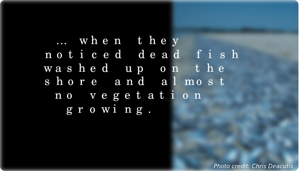 env129_wk5_dead_fish_in_bear.pptx_danlbepqobo_page4