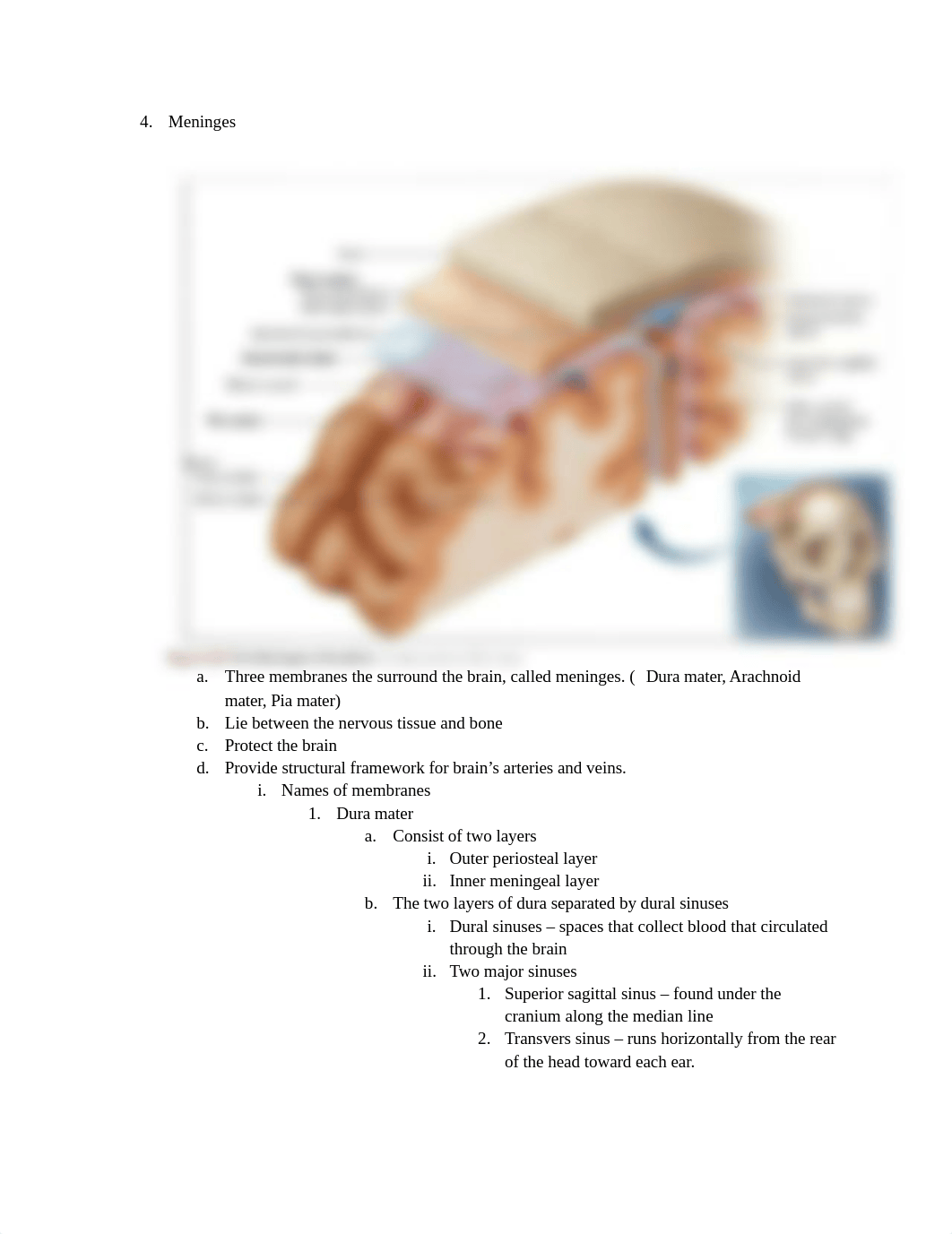 Chapter 14 The Brain and Cranial Nerves.docx_danr5h0xiiu_page5