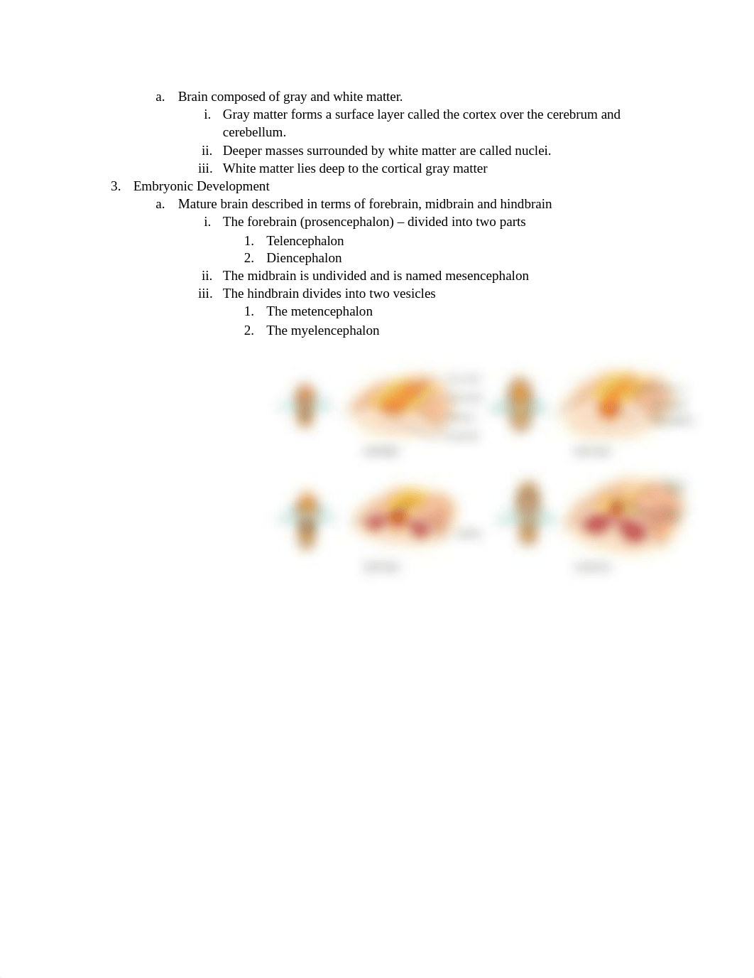 Chapter 14 The Brain and Cranial Nerves.docx_danr5h0xiiu_page4