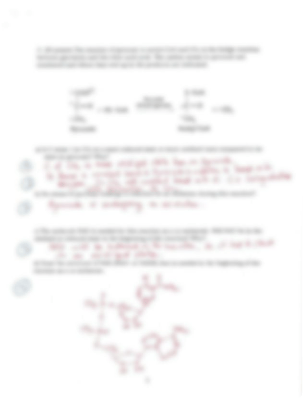 Exam 2 V1 Key_danrauscgbu_page5