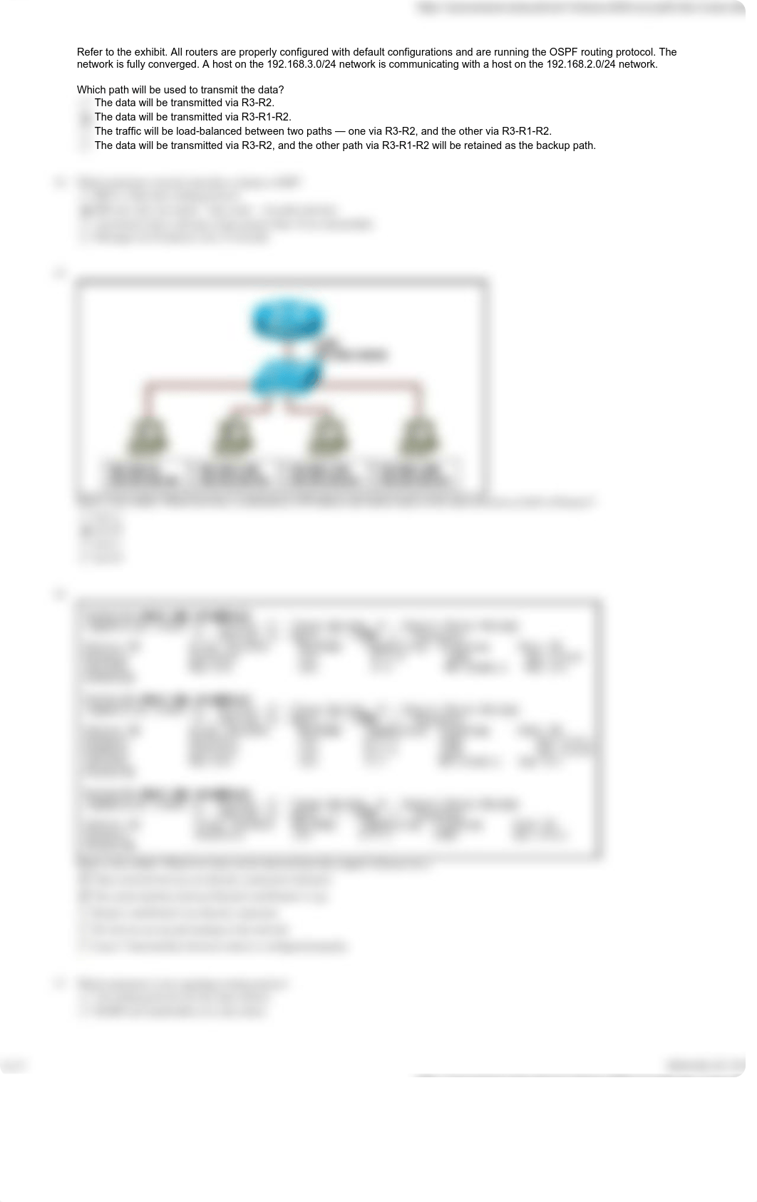 27525097-CCNA-Exploration-v4-Routing-Protocols-and-Concepts-Final-Exam-page-3_dao11surcme_page2