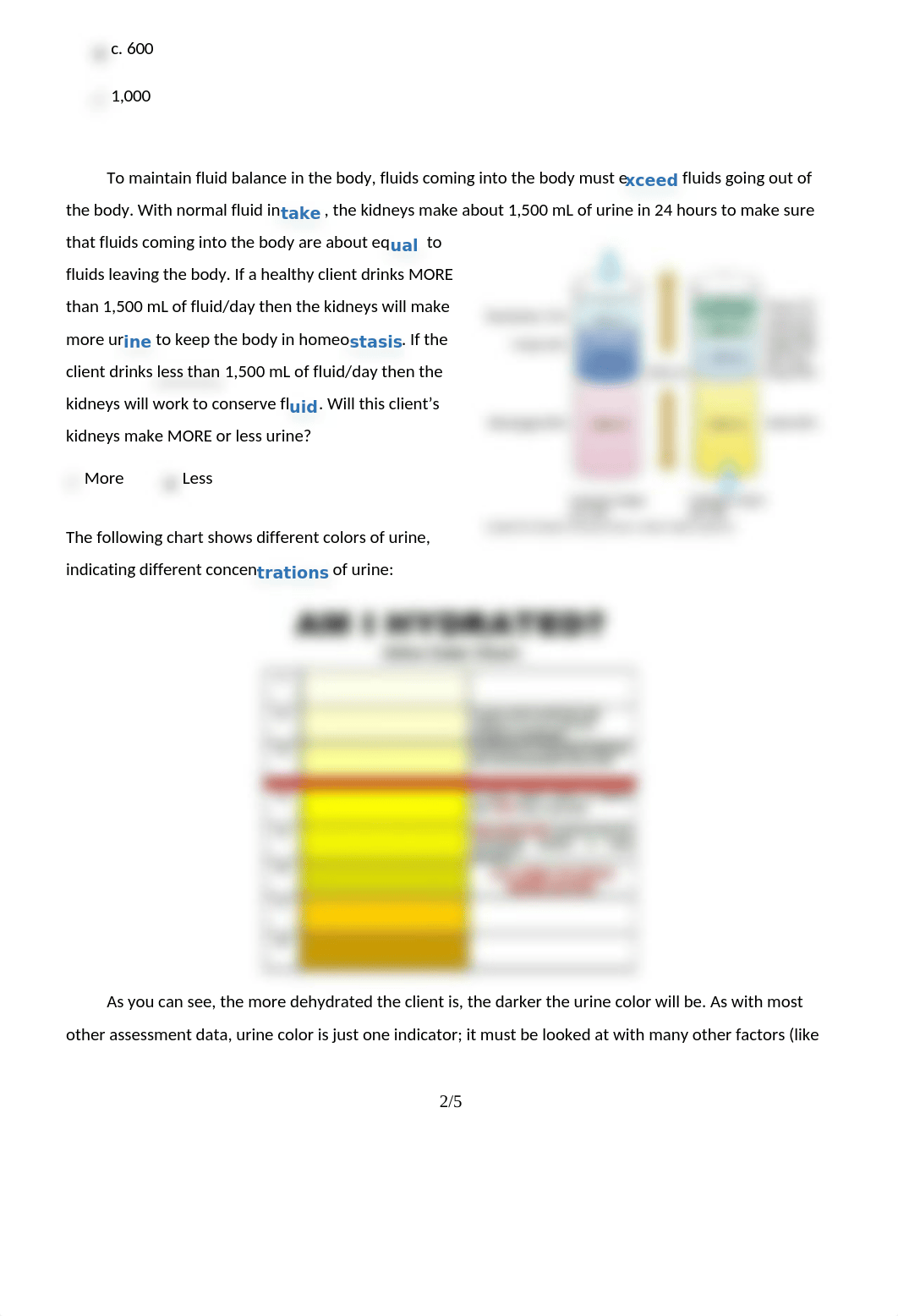 How Do the Kidneys Work finished exam 2.docx_dao6albe9lt_page2