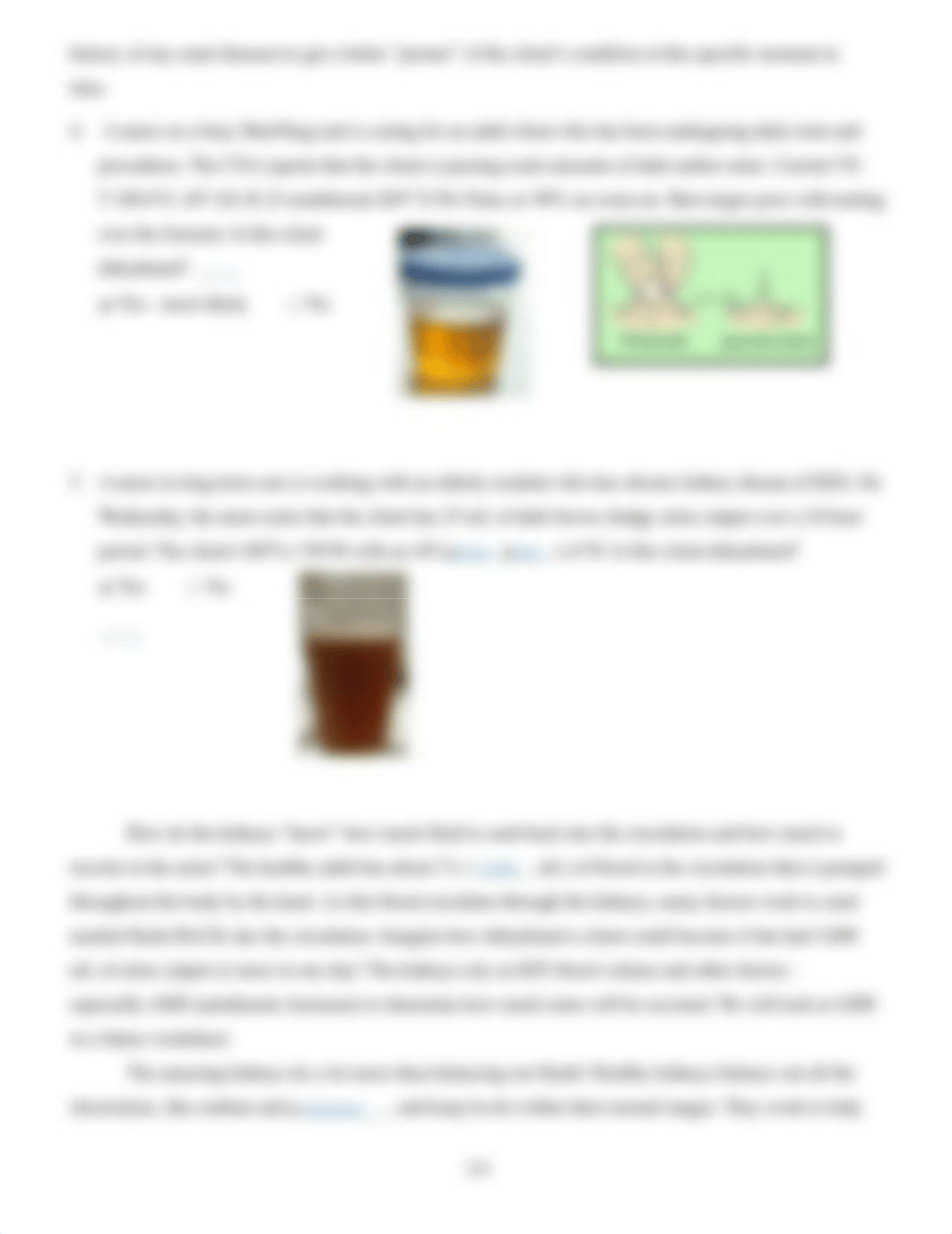 How Do the Kidneys Work finished exam 2.docx_dao6albe9lt_page3