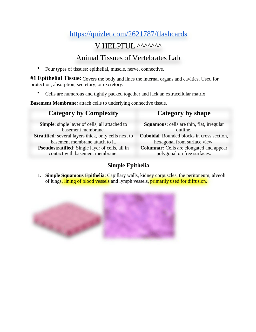 MCB lab study guide[646].docx_daok7jkdo1l_page1