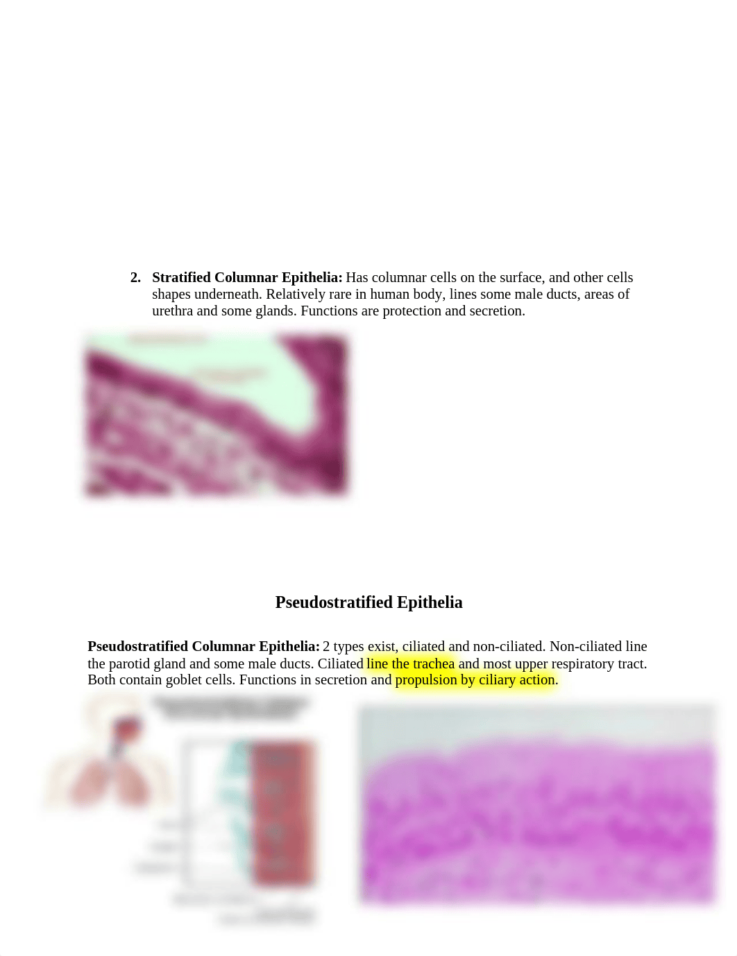 MCB lab study guide[646].docx_daok7jkdo1l_page4