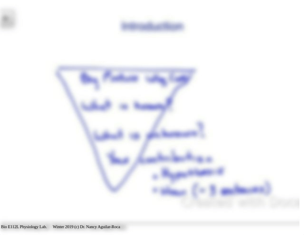 Metabolic_Rates_W2019+extras.pdf_daoka9fvde4_page2