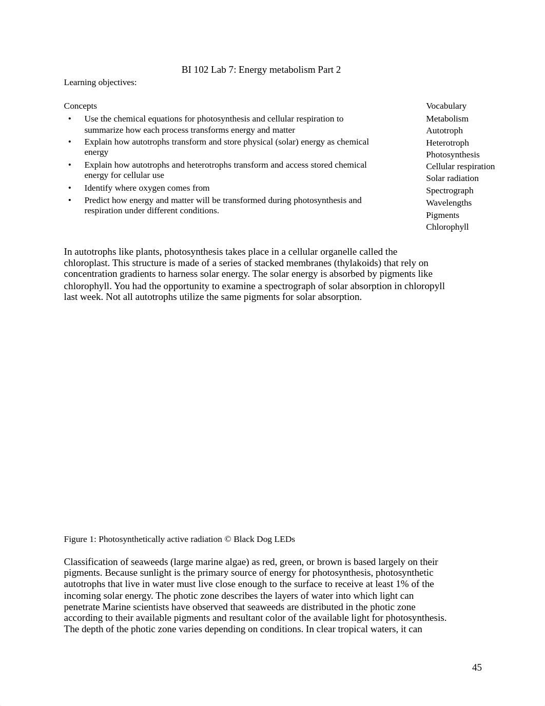 BI 102 Lab 7 F17.pdf_daondalipv7_page1