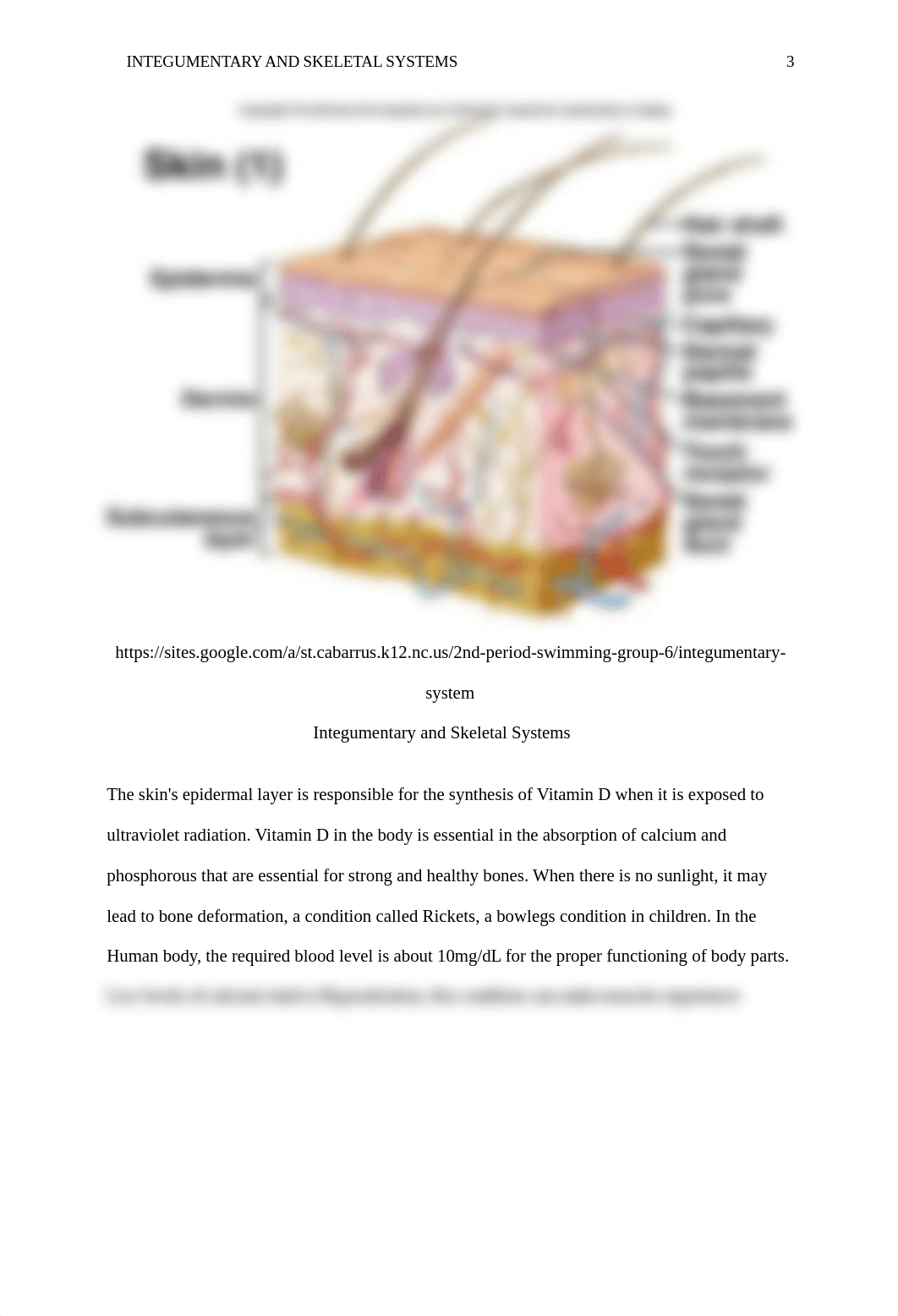 Integumentary and Skeletal Systems edited.docx_daor7irzwht_page3