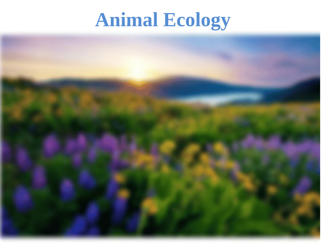 02 - Animal Ecology.ppt_daorh9dgqhh_page1