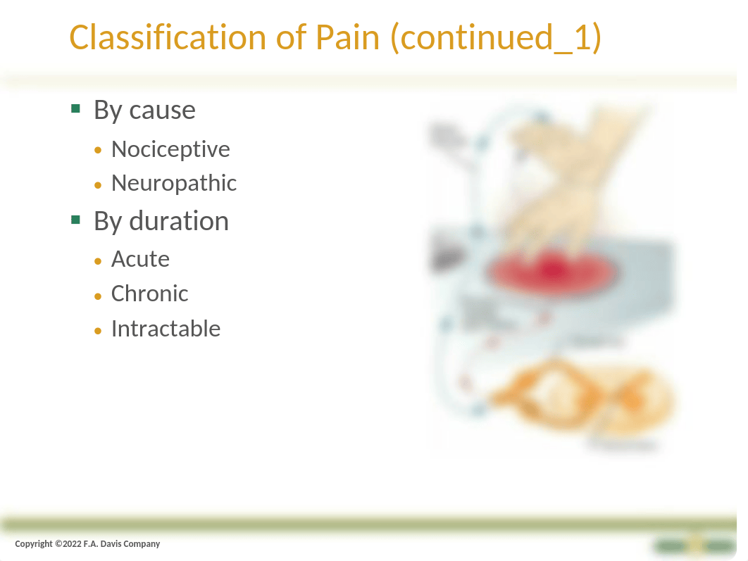 Chapter 28_Pain.pptx_daorogrguw6_page4