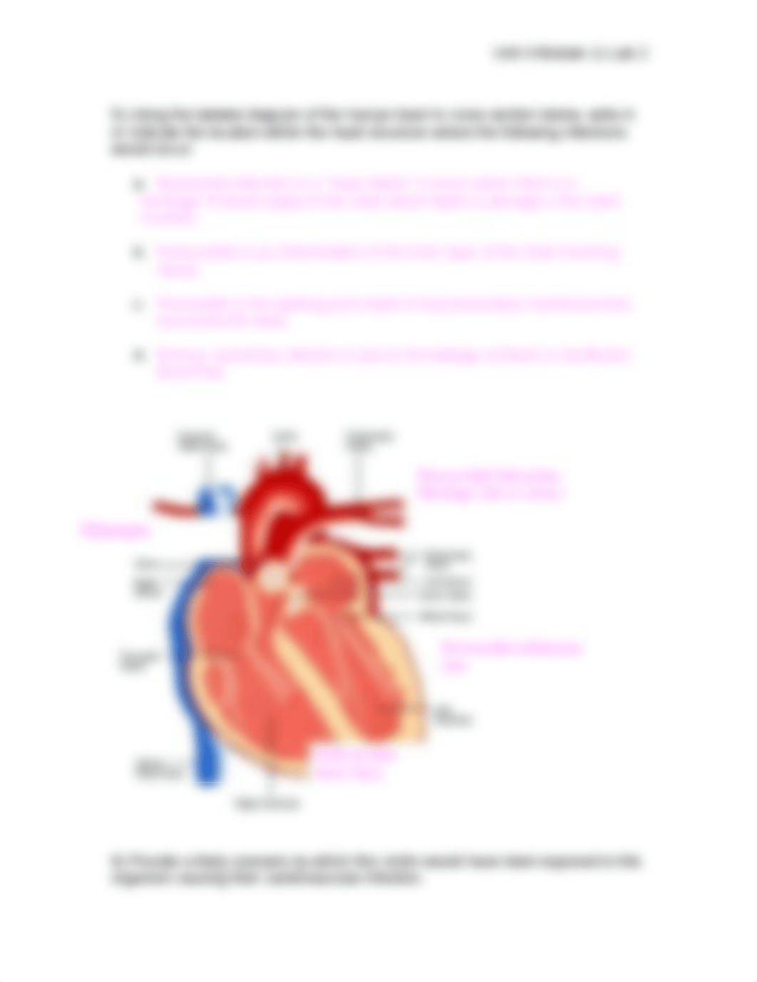 BIOL 1020 Unit 4 Module 11 Lab 2 Assessment_Zajac._daosgyo8c7j_page2