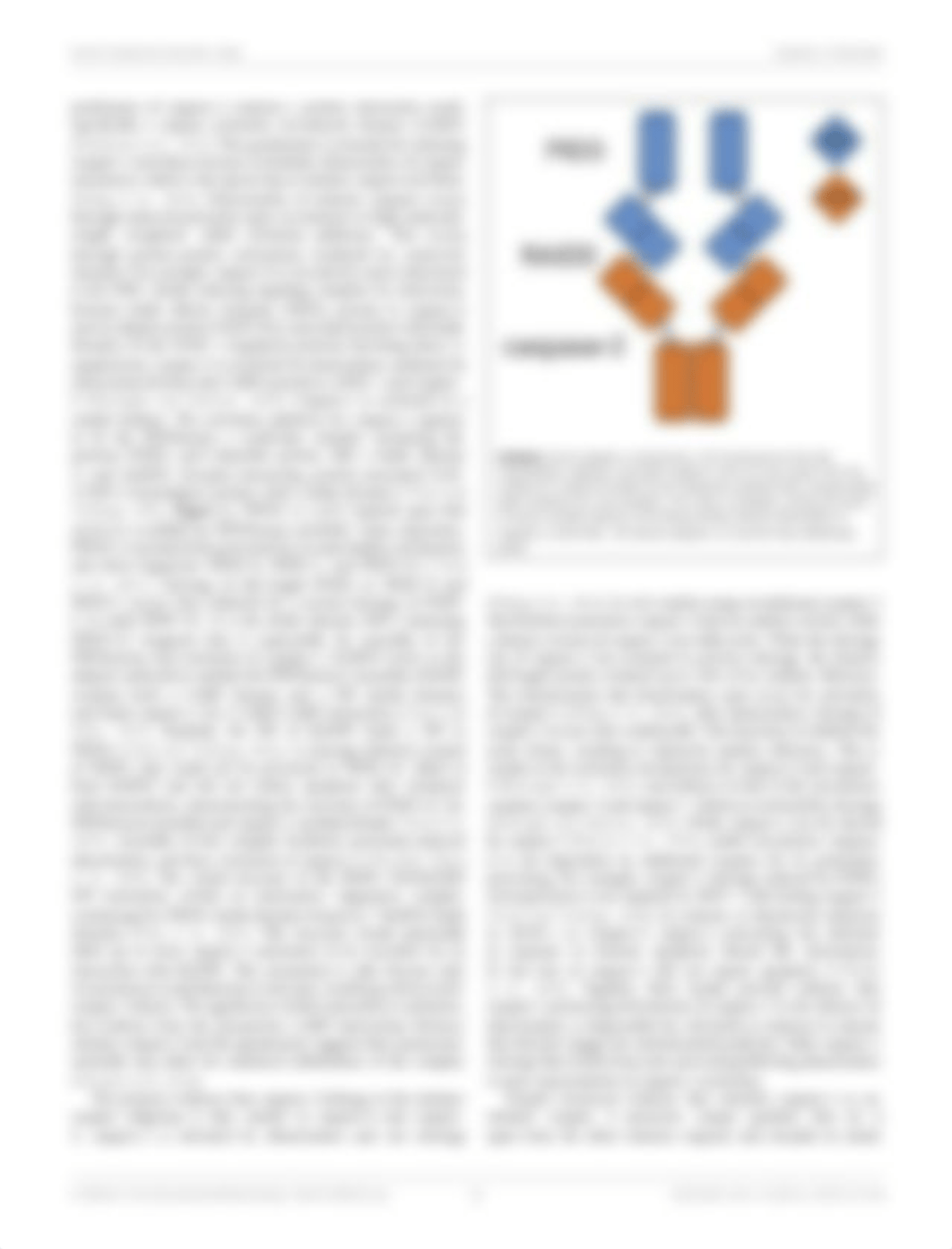 Brown-Suedel and Bouchier-Hayes - 2020 - Caspase-2 Substrates To Apoptosis, Cell Cycle Con.pdf_daoycw8x2bs_page2