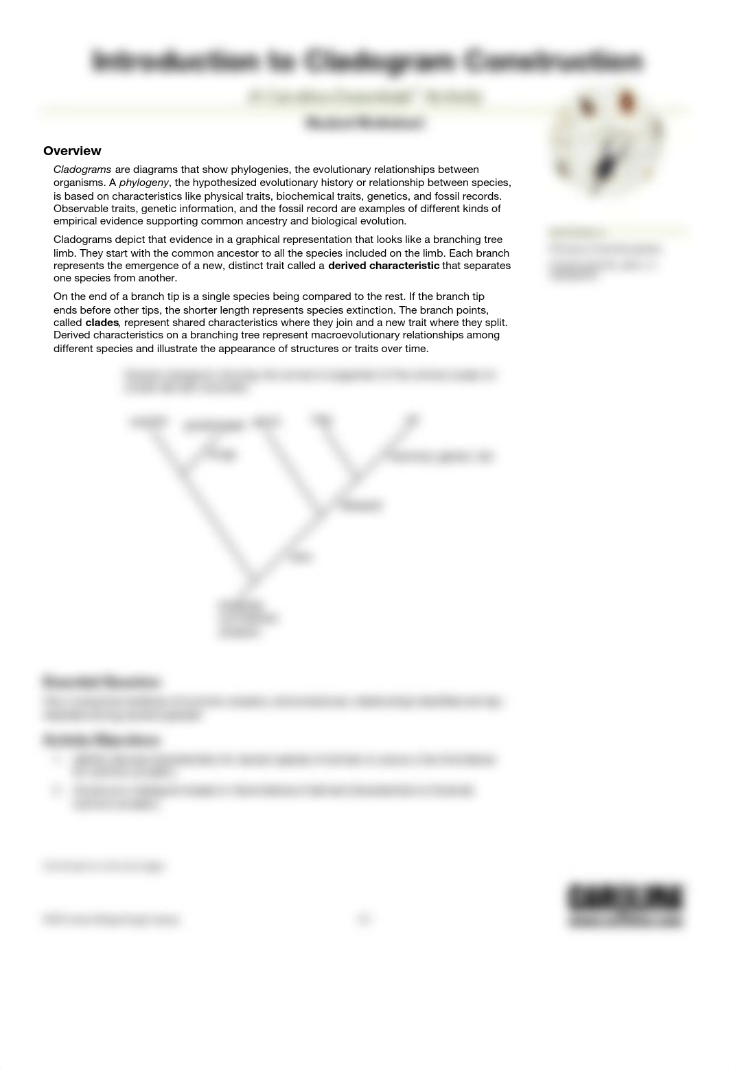 Intro-to-Cladogram-Student-Essentials-122018 (1) (1).pdf_daoz8nlchl0_page1