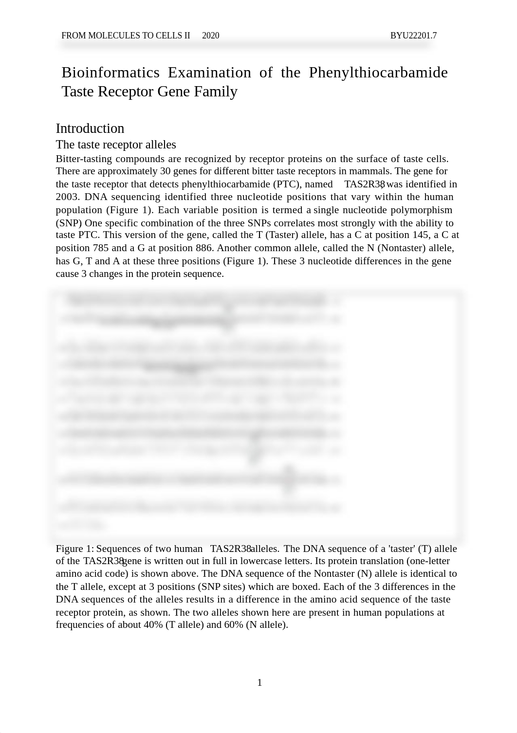 BYU22201Bioinformatics 2020.doc_dap3je5puq6_page1