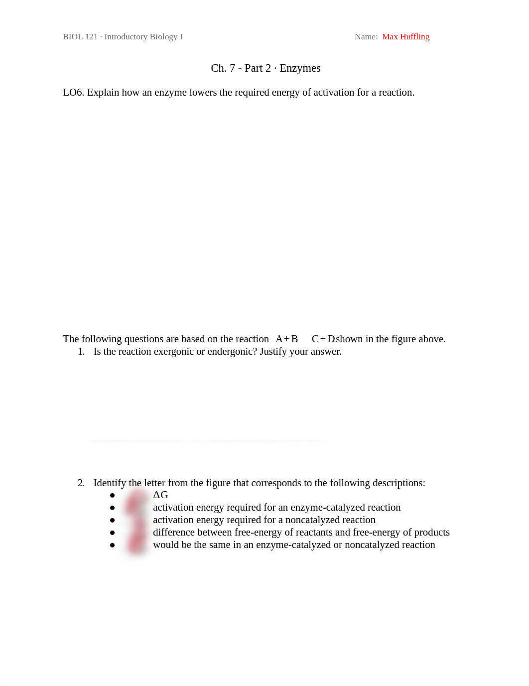 Ch. 7_2 Enzymes - Max Huffling.docx_dap5rfqg720_page1