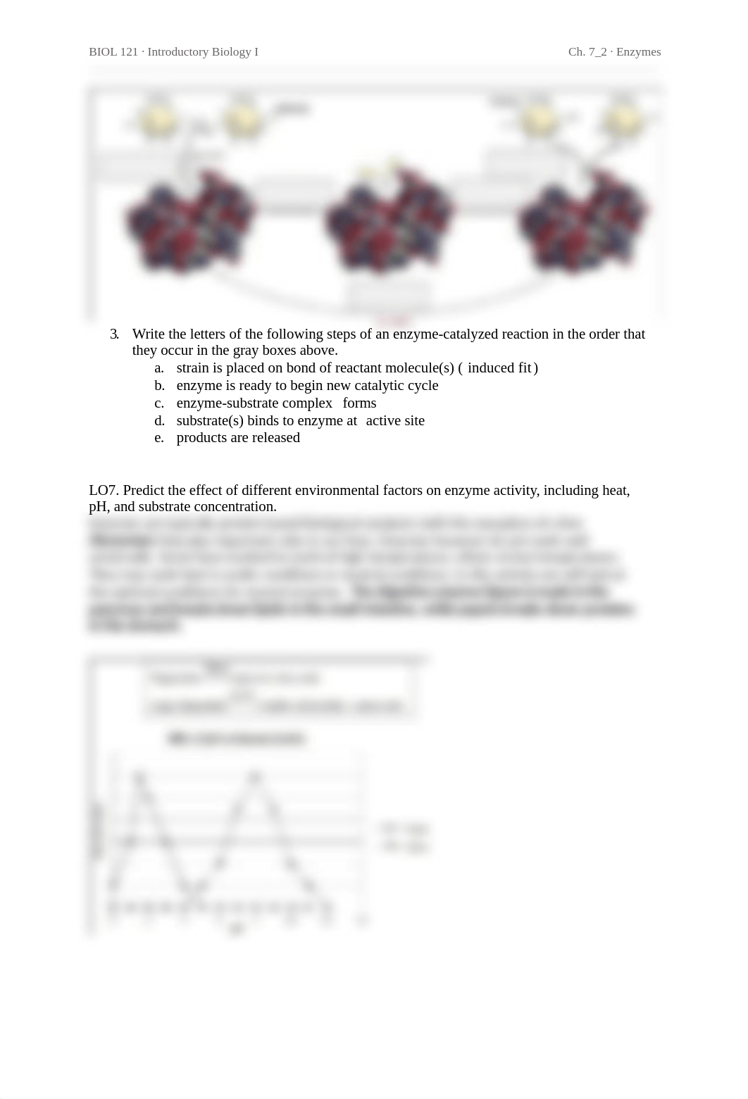 Ch. 7_2 Enzymes - Max Huffling.docx_dap5rfqg720_page2