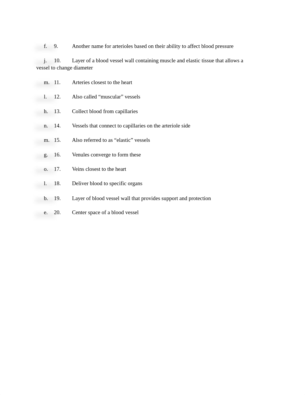 Chapter 16_ Vascular System.docx_dapbxfurcr8_page2